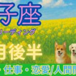【タロット】【双子座】2025年4月後半の運勢リーディング♊やる気充実！うまくいくことが約束された未来への展望