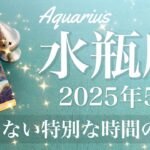 【みずがめ座】2025年5月♒️ ゴールとスタートのエネルギーが入れ替わる！巡り会える奇跡、達成のとき、戦車は力強く前進する