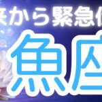 魚座さんへ、未来からの緊急伝言、内なる目覚めと魂の復活、恐れず生まれ変わる勇気と再出発の合図✨