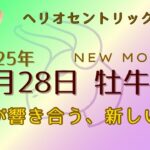 【牡牛座新月・魂が響きあう新しい扉】