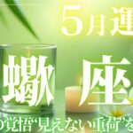 【さそり座】5月運勢2025年♏長年抱えてきた“見えない重荷”をそっと手放し“次のステージへと進む心の覚悟”を育てていくとき【蠍座5月】