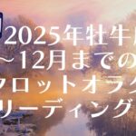 牡牛座♉2025年4月～12月の運勢の流れについて🫶✨