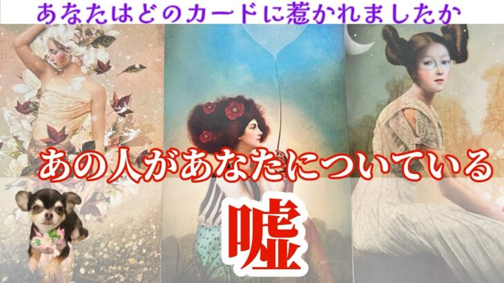 【怖いけど知りたい😱‼️】あの人の嘘を大暴露します‼️