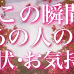 【恋愛】（※辛口🌶️リーディング含みます💦）今この瞬間!!あの人の現状と、あなたへのお気持ち😵💘✨タロットリーディング