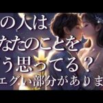 ⚠️エグい部分あり😱あの人はあなたのことをどう思ってる？占い💖恋愛・片思い・復縁・複雑恋愛・好きな人・疎遠・タロット・オラクルカード