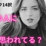 （恋愛深掘りタロット14択！)あの人にどう思われてる？★サクサクリーディング14択★