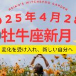 ✨牡牛座新月🌑「変化を受け入れ、新しい自分へ 」　#占い #星読み 　　＃牡牛座