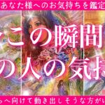 【最新✨恋愛💖】今この瞬間のあの人のあなた様へのお気持ち🔮🦋ルノルマンカードで的確鑑定✨