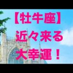 牡牛座♉️ 大幸運の流れ☀️🩷💐