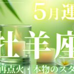 【牡羊座】5月運勢2025年♈情熱の再点火と本物のスタート！【牡羊座5月】