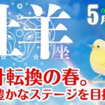 牡羊座♈️2025年5月☆方針転換の春。次の豊かなステージを目指して