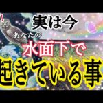 【驚きの展開でした😳】実は今、あなたの水面下で起きている事🕊️✨個人鑑定級タロット占い🔮✨