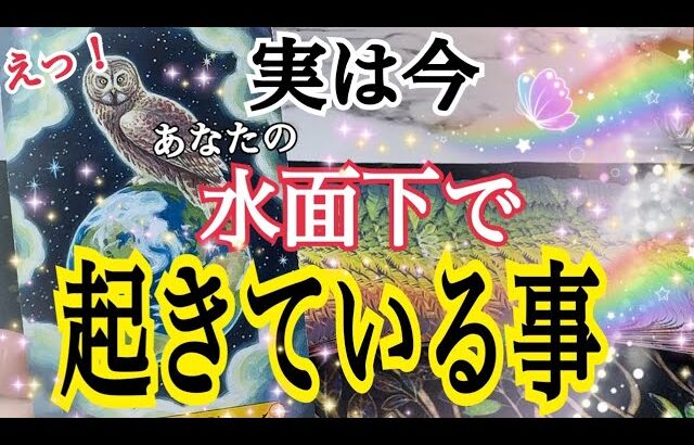 【驚きの展開でした😳】実は今、あなたの水面下で起きている事🕊️✨個人鑑定級タロット占い🔮✨