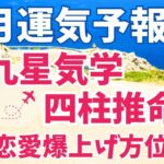 ５月の運気予報🌸九星気学＆四柱推命✨#占い#運勢 #九星気学 #四柱推命 #開運養生  #吉方位 #開運 #恋愛 #金運 #結婚 #復縁 #仕事