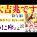 【蟹座の総合運】2025年5月1日から31日までのかに座の総合運。#蟹座 #かに座