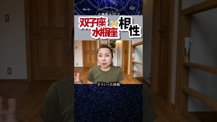 双子座×水瓶座相性