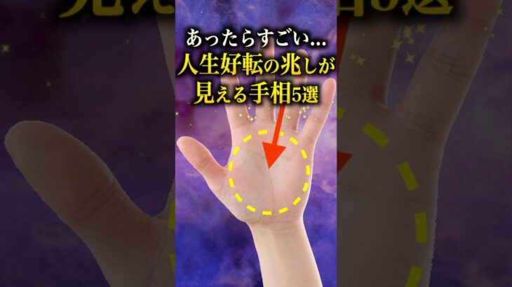 【手相占い】人生好転の兆しが見える手相5選 #手相 #占い