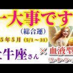 【牡牛座の総合運】2025年5月1日から31日までのおうし座の総合運。#牡牛座 #おうし座02 牡牛座 BB 5月