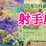 初夏のそよ風の中の、とことん楽しむ🌿射手座♐️２０２５年５月1〜15日頃まで