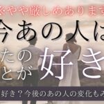 【 やや厳しめあり 】今あの人はあなたのことが好き？ 【 恋愛・あの人の気持ち・タロット・オラクル・占い 】