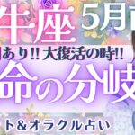 【牡牛座】運命の急展開!! 想定外の嬉しい出来事、待機中です💝✨ 5月運勢  タロット占い