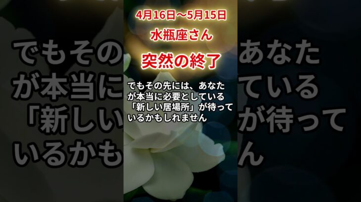 【水瓶座さん】2025年４月後半から５月前半の「みずがめ座」〜突然の終了 静かに動き出す運命〜#shorts