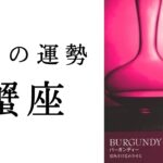 【蟹座🌿5月の運勢】ここが運気の変わり目！！どんどんしっくりくる流れに✨2025年タロット占い