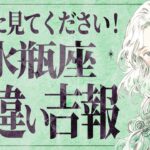 【見逃し厳禁！】ついに、急展開です！水瓶座さん5月に運命の出会いが✨ 引き寄せられます🦋【運勢タロット占い】