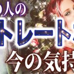 【意外すぎる💕相手の気持ち】片思い複雑恋愛タロットカードリーディング🥀個人鑑定級占い🔮