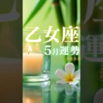 乙女座♍️5月運勢🔮✨2025年『太陽星座』