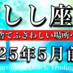 しし座♌︎2025年5月前半 歩幅合わせは終わり！ここを去りふさわしい世界へ駆け出す🔥Leo tarot  reading