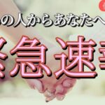ちょっと待ってー!!あの人からあなたへ緊急速報が入りました💓恋愛タロット占い