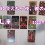 おうし座 ♉【タロット】会えない間、あの人の貴方様への本当の気持ち。タロット恋愛占い 2025年4月29日