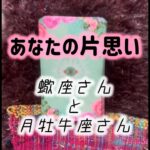 蠍座・月牡牛座『あなたの片思い』