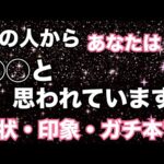 ガチ本音🔥あの人からあなたはこう思われているようです。怖いくらい当たる❤️恋愛タロット占い ルノルマン オラクルカード細密リーディング