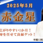 2025年5月の九星占い（七赤金星さんの運勢）#九星気学 #占い #運勢