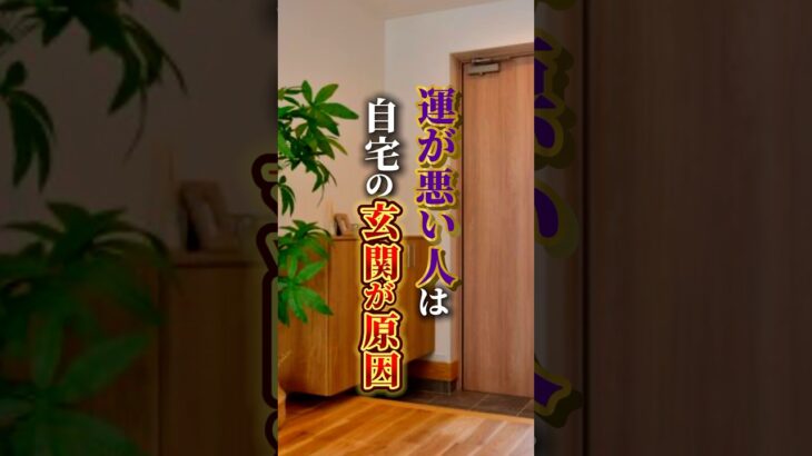 玄関におすすめの観葉植物知りたい？#玄関 #風水 #運気 #開運