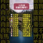 🎯【12生肖，你贏在哪裡？】 #風水 #正能量 #十二属相