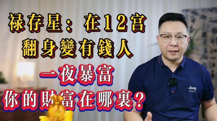 紫微斗数 | 禄存星在12宫：看你的财富在哪里【一夜暴富翻身做有钱人】世恒紫微专业命理老师