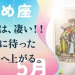 ビックリしました。今月は、凄いことが起こります。【5月の運勢　乙女座】