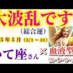 【射手座の総合運】2025年5月1日から31日までのいて座の総合運。#射手座 #いて座