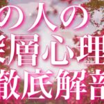 【恋愛】あの人の深層心理💘徹底解剖😖㊙️💦タロットリーディング