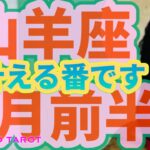 ５月前半✨山羊座♑️夢を叶える番が来た‼️あなたも凄いから、人と比べる必要はない🕊️✨プライベートでは、トントン拍子に進むことがありそう😳💖