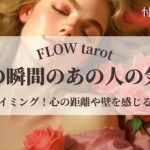 【恋愛占い/忖度なし】心の距離や壁を感じる苦しい恋愛（辛口あり🌶️）今この瞬間のあの人の気持ち！【タロット占い・オラクルカード・カードリーディング】