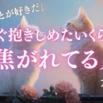 あなたに恋焦がれてる人🥰外見、性格、イニシャル。あなたの好きなところ、魅力😍【男心タロット、細密リーディング、個人鑑定級に当たる占い】