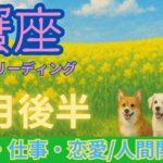 【タロット】【蟹座】2025年4月後半の運勢リーディング♋冴えた頭で行動力も抜群！どうにもとまらない時