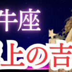 【牡牛座】2025年5月の牡牛座の運勢をタロットと占星術で。見逃すと損する。極上の吉報！