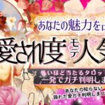 💓あなたの愛され度・モテ度💓人気運と隠れた魅力【有料鑑定級❤︎忖度一切無し❤︎】仕事、恋愛、友人