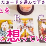 【イニシャル】あなたを密かに想っている人🩷タロット、タロット占い、恋愛🔮