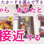 【急接近あります❗️】これからあなたと急接近する人🌟タロット、タロット占い、恋愛